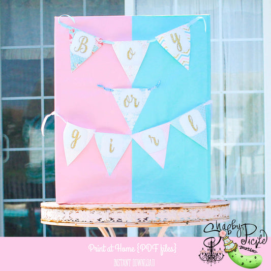 Shabby Baby-Alpha-Boy or Girl + More! Banner-Party Printable-Shabby Chic Parties-Gender-Baby Shower-DIY-Digital Decorations-INSTANT DOWNLOAD